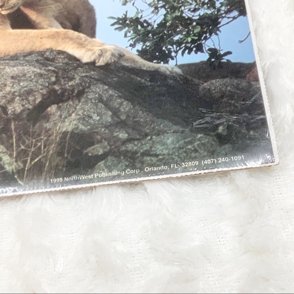 Northwest Publishing Corp 1999 lioness with cub print - Picture 3 of 5
